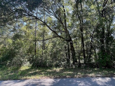 Dunnellon