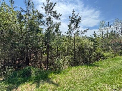 6 Spencer Rd, Concord, VA 24538 - photo 3