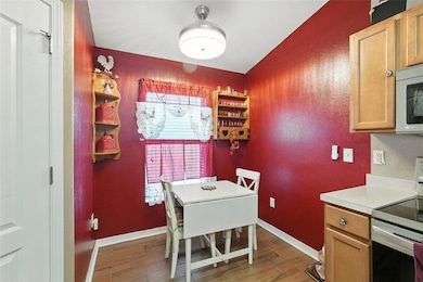 14013 Hollow Crest Place, Riverview, FL 33579 - photo 7