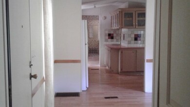 3708 Snipe Rd, Branford, FL 32008 - photo 6