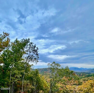 1817 Pinestand Ridge Way, Sevierville, TN 37862 - photo 4