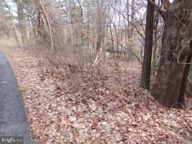 0 S Lewis Ave, Mohnton, PA 19540 - photo 2