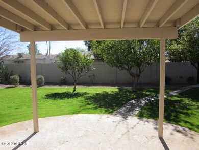 Back yard