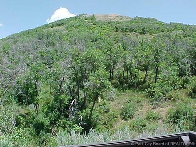 Land/Lot.