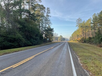 000 Hwy 92s E, Spurger, TX 77660 - photo 5