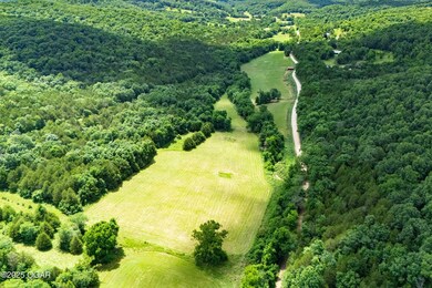 000 Farm Road 1182, Jenkins, MO 65605 - photo 7