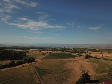 22690 Sweet Clover Rd, Cedaredge, CO 81413 - photo 4