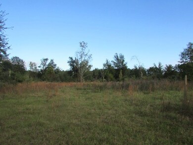 7732 Brest Station Rd, Baconton, GA 31716 - photo 4