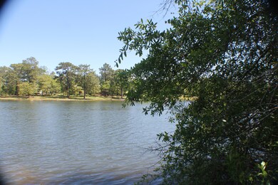 4.35 AC-DD Pine Ln, Crestview, FL 32536 - photo 6