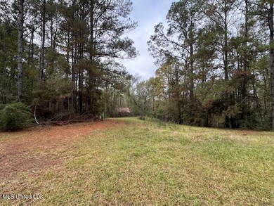 00 Coons Mill Rd, Centreville, MS 39631 - photo 6