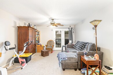 004_10136_carnation_ct_5_09-edit