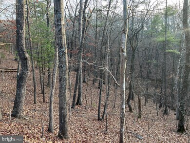 0 Straton Way unit VASH2013140, Basye, VA 22810 - photo 3