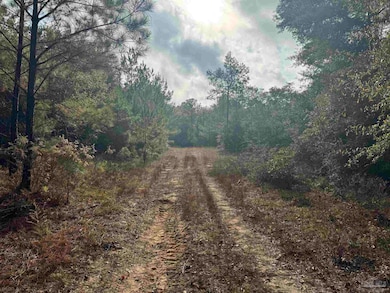 0 Ryan Rd, Crestview, FL 32539 - photo 2