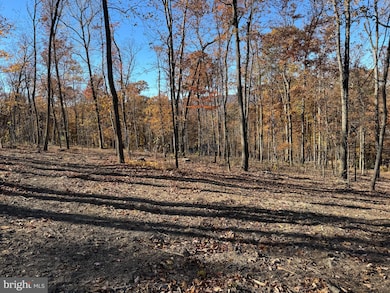 0 Digging Bear Ln unit VALO2111586, Purcellville, VA 20132 - photo 4