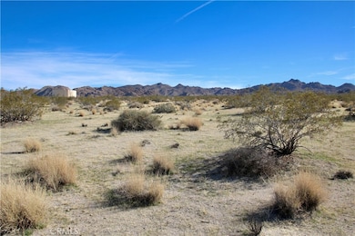 7130 Sunfair Rd, Joshua Tree, CA 92252 - photo 3
