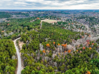 23 Acres County Road 3217, Haleyville, AL 35565 - photo 2