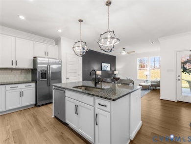 18536 Palisades Ridge, Moseley, VA 23120 - photo 2