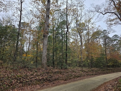 R22961 County Road 2150, Colmesneil, TX 75979 - photo 6