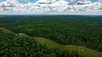 1708 Round Oak Juliette Rd, Juliette, GA 31046 - photo 6