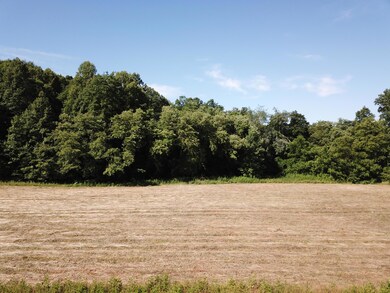 999 Big Barn Rd, Tyner, KY 40486 - photo 5