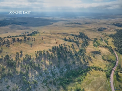 TBD Cobb Rd, Custer, SD 57730 - photo 5