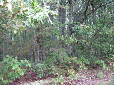 Barker Property