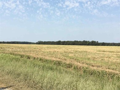 0 Tilley Ln unit 19029482, Waldenburg, AR 72475 - photo 2