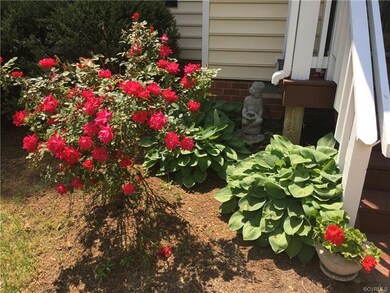 Knockout Roses welcome you!