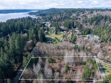 0 NE North Shore Rd unit NWM2347029, Belfair, WA 98528 - photo 4