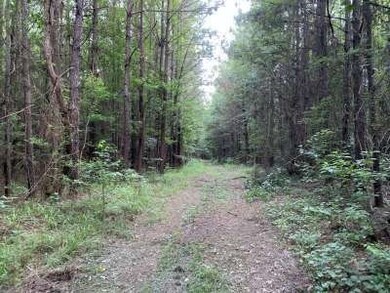 . Old Hwy 51 S, Osyka, MS 39657 - photo 7