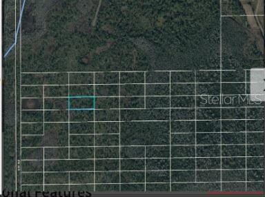 0 Dill Rd unit MFRO6247900, Orlando, FL 32820 - photo 5