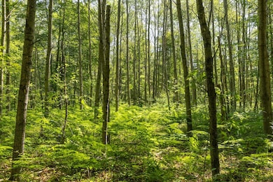 00 V/L Comstock Ave unit Par B, Bitely, MI 49309 - photo 2