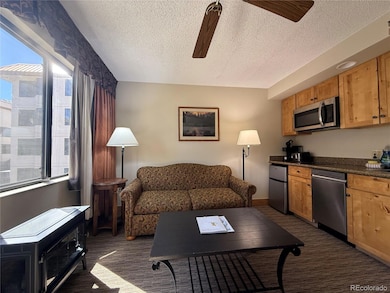 6 Emmons Rd unit 379/381, Crested Butte, CO 81225 - photo 2