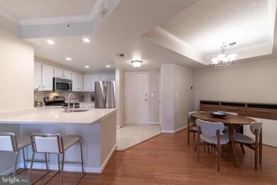 3835 9th St N unit 406W, Arlington, VA 22203 - photo 6