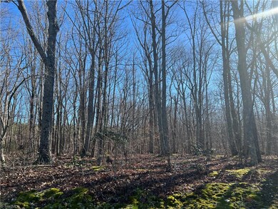 0 Westwood Dr, Seagrove, NC 27341 - photo 7