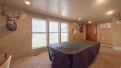 Bedroom with a textured wall, a textured ceiling, carpet floors, recessed lighting, and a closet