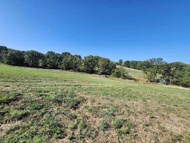 000 N Highway 95, Mountain Grove, MO 65711 - photo 7