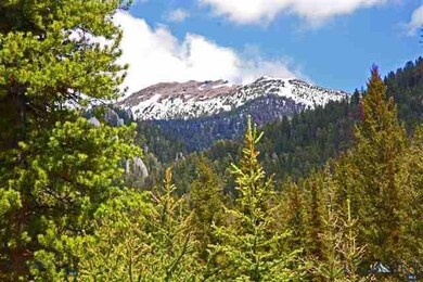TBD Northfork, Big Sky, MT 59716 - photo 6