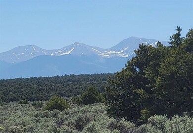 Calvary Trl Garci unit a Colorado 81152, Garcia, CO 81152 - photo 2