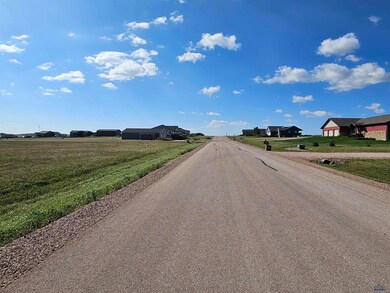 1850 Double Tree Dr unit BLK 4 LOT 10, Southwest Meade, SD 57769 - photo 4