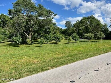 1615 W Budlong St, Carthage, MO 64836 - photo 6