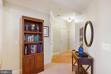 8616 Wintergreen Ct unit 206, Odenton, MD 21113 - photo 6