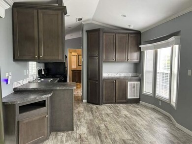 6941 Macdonald Ct unit Lot 20, Zephyrhills, FL 33541 - photo 5