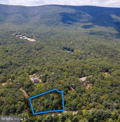 103 Hunters Cir, Luray, VA 22835 - photo 5