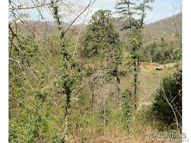 57 Farmstead Rd unit 21, Leicester, NC 28748 - photo 4