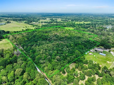 Aerial view of property's location with a forest and property boundaries highlighted