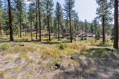 13902 Highland Trail, Alberton, MT 59820 - photo 7