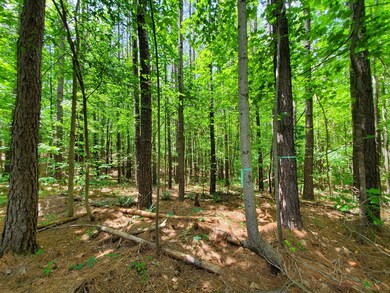 626 Double Bridges Rd unit 27B, Lunenburg, VA 23947 - photo 5