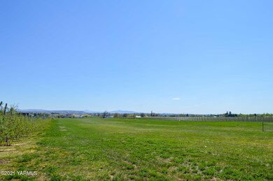 Open Lot
