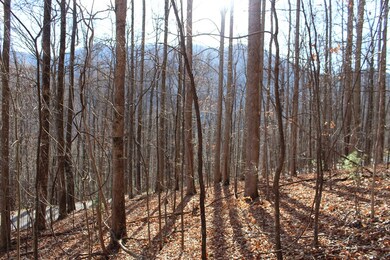 00 W Old Murphy Rd, Franklin, NC 28734 - photo 6